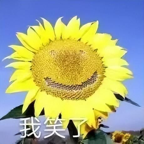 穿深V女装走光的他是真疯了还是向家缺钱了PG电子麻将胡了试玩向佐怎么癫成这样？(图5)