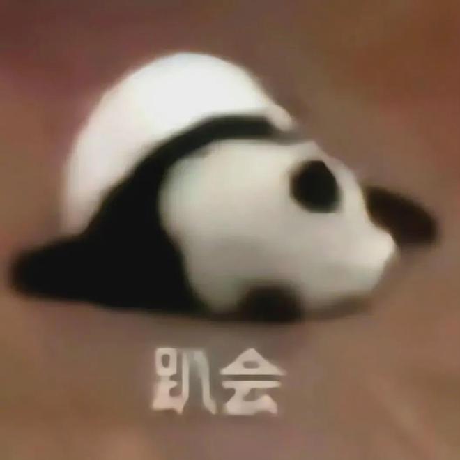 穿深V女装走光的他是真疯了还是向家缺钱了PG电子麻将胡了试玩向佐怎么癫成这样？(图10)